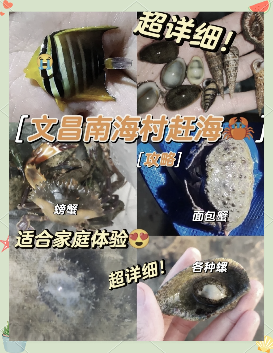 文昌海钓接待(文昌海钓休闲运动中心) 文昌海钓接待(文昌海钓休闲运动中心)