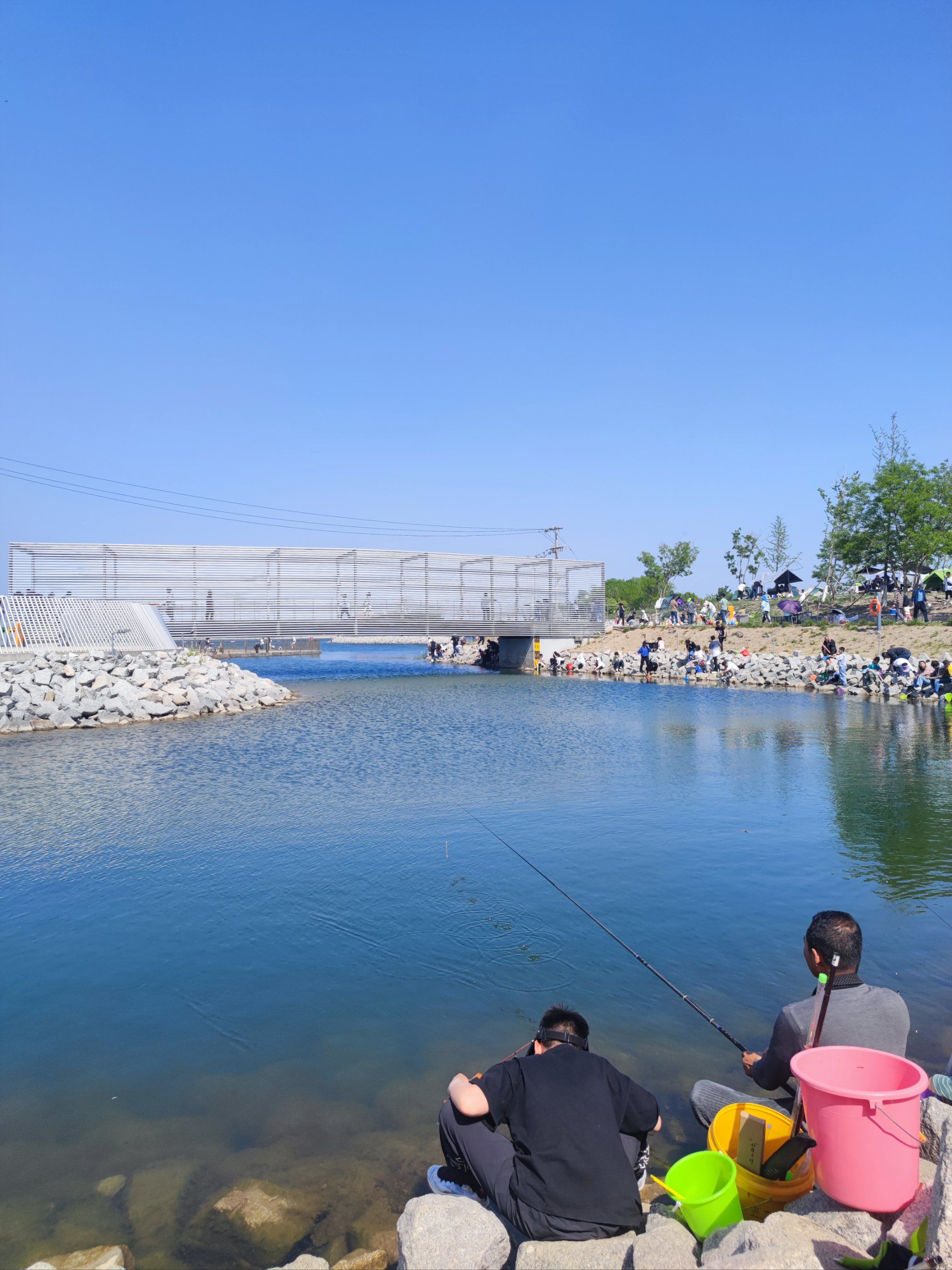 天津市静海钓鱼(天津静海钓鱼场) 天津市静海钓鱼(天津静海钓鱼场)