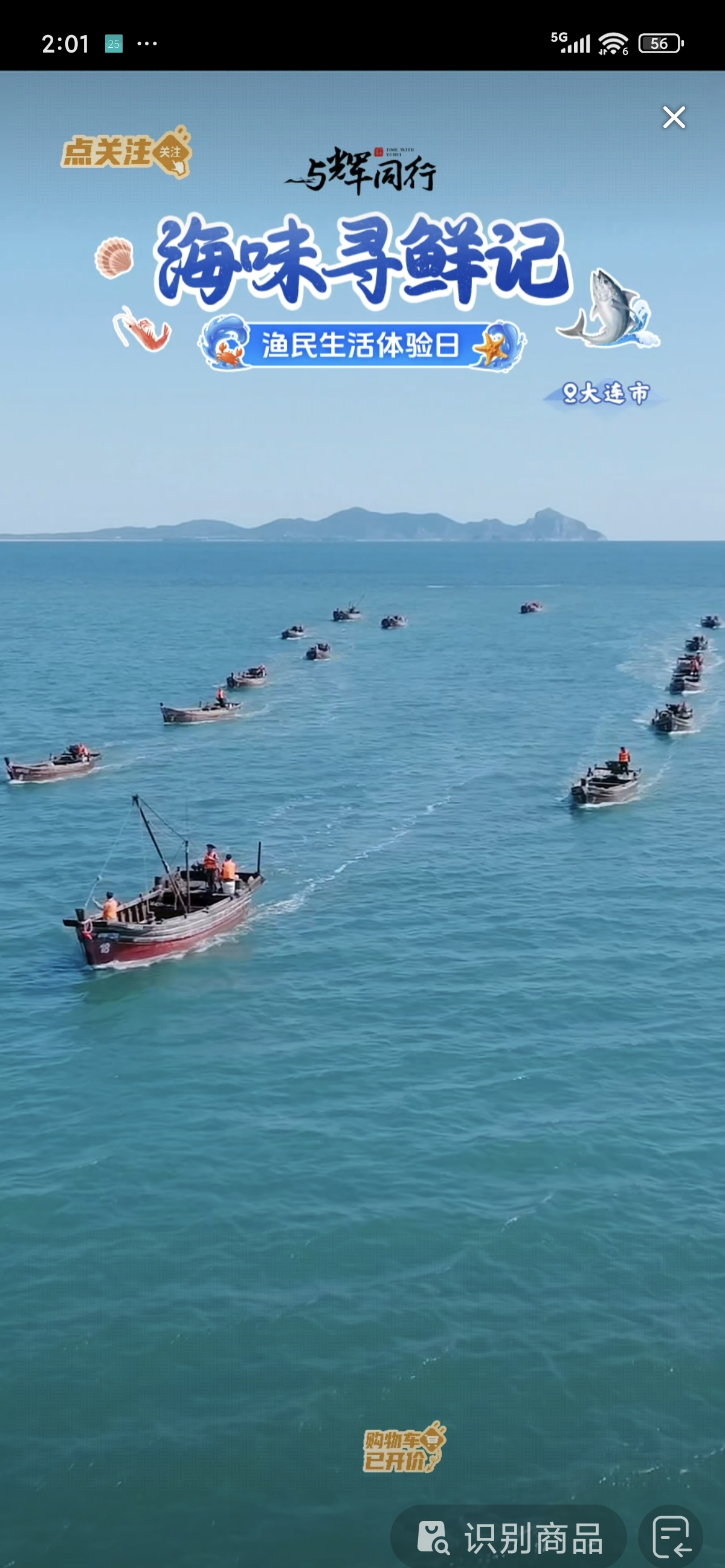 大海网鱼技巧(大海网鱼技巧图解) 大海网鱼技巧(大海网鱼技巧图解)