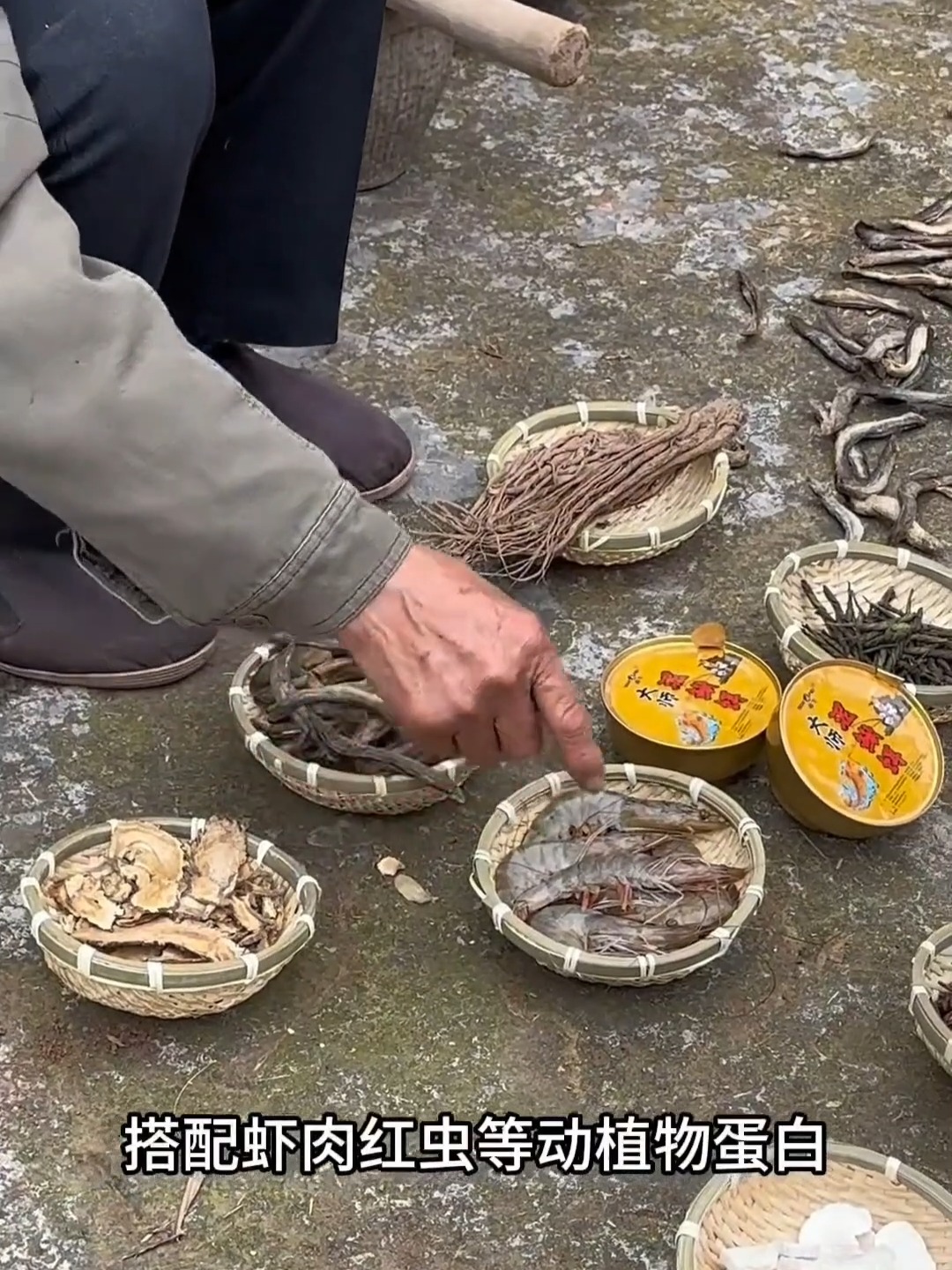 泥鳅天然饵料(泥鳅天然饵料有哪些) 泥鳅天然饵料(泥鳅天然饵料有哪些)