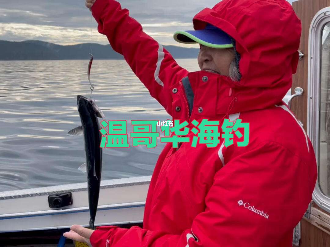 温哥华海钓规则(海钓新手入门组装全套教程) 温哥华海钓规则(海钓新手入门组装全套教程)