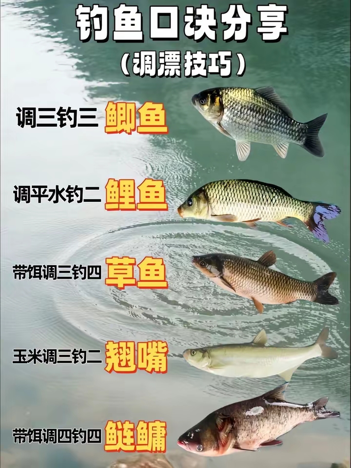 夏天钓大鱼技巧(夏天钓鱼方法) 夏天钓大鱼技巧(夏天钓鱼方法)