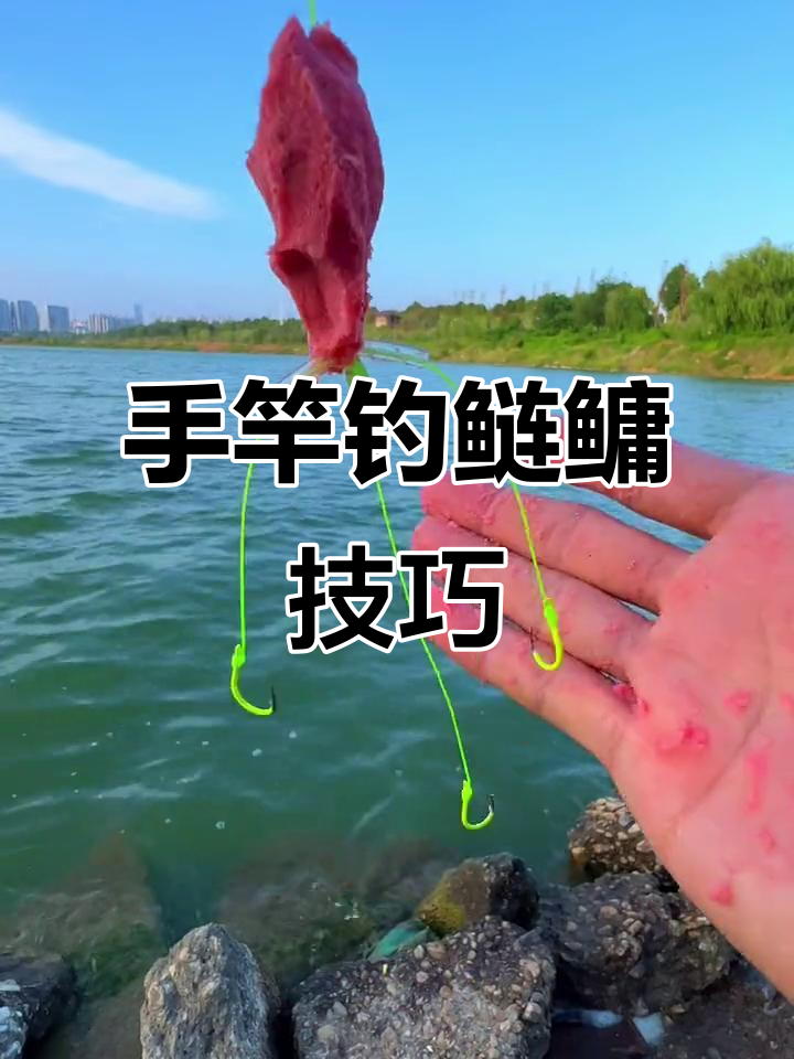 最新手杆钓鳙鱼技巧(手杆怎样钓鲢鳙鱼视频) 最新手杆钓鳙鱼技巧(手杆怎样钓鲢鳙鱼视频)