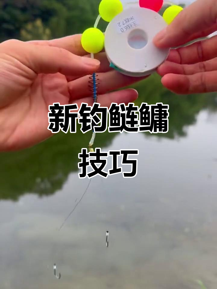 最新手杆钓鳙鱼技巧(手杆怎样钓鲢鳙鱼视频) 最新手杆钓鳙鱼技巧(手杆怎样钓鲢鳙鱼视频)