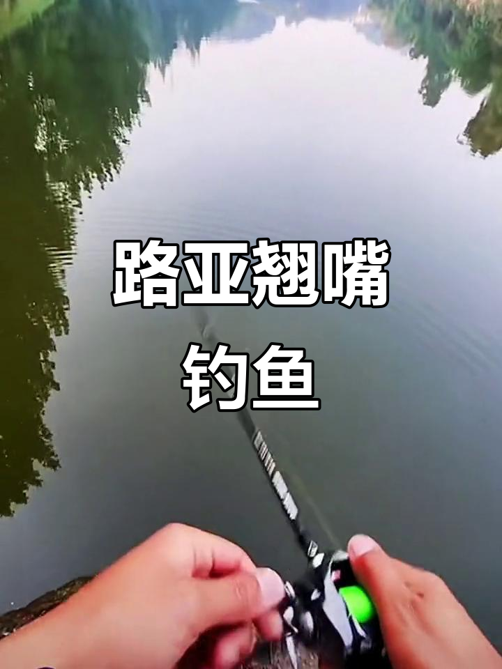 夏天钓撅嘴鱼技巧(夏天钓撅嘴鱼技巧和方法) 夏天钓撅嘴鱼技巧(夏天钓撅嘴鱼技巧和方法)