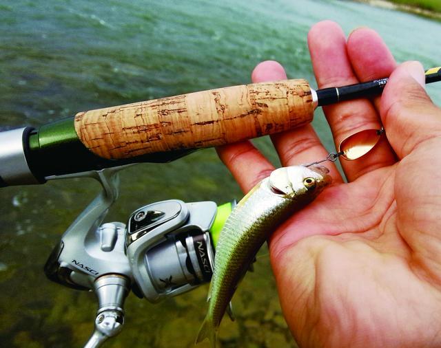 初夏夜钓马口技巧(管子开马口技巧) 初夏夜钓马口技巧(管子开马口技巧)