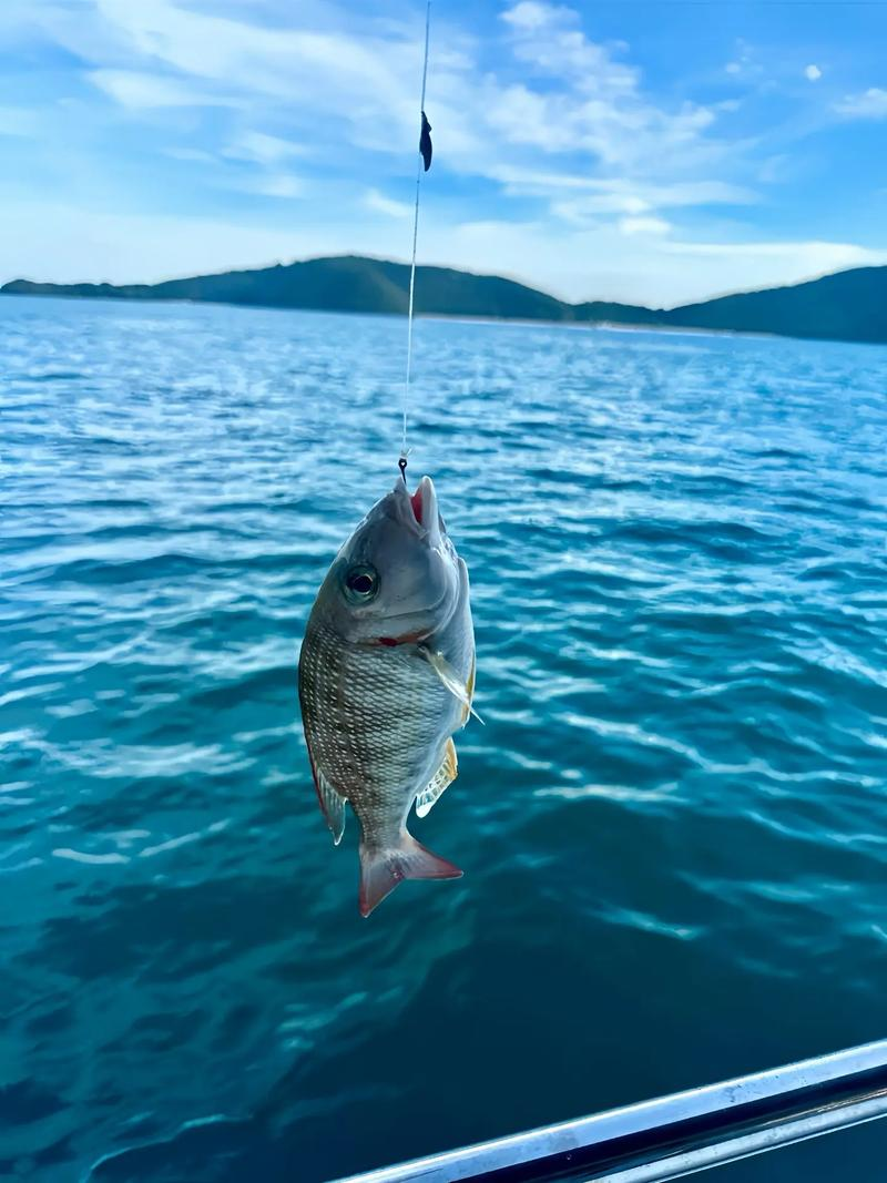 文昌海钓钓场(海南文昌钓鱼点) 文昌海钓钓场(海南文昌钓鱼点)