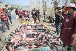 渔我同行海钓歌曲(四海钓鱼海钓英文歌曲) 渔我同行海钓歌曲(四海钓鱼海钓英文歌曲)