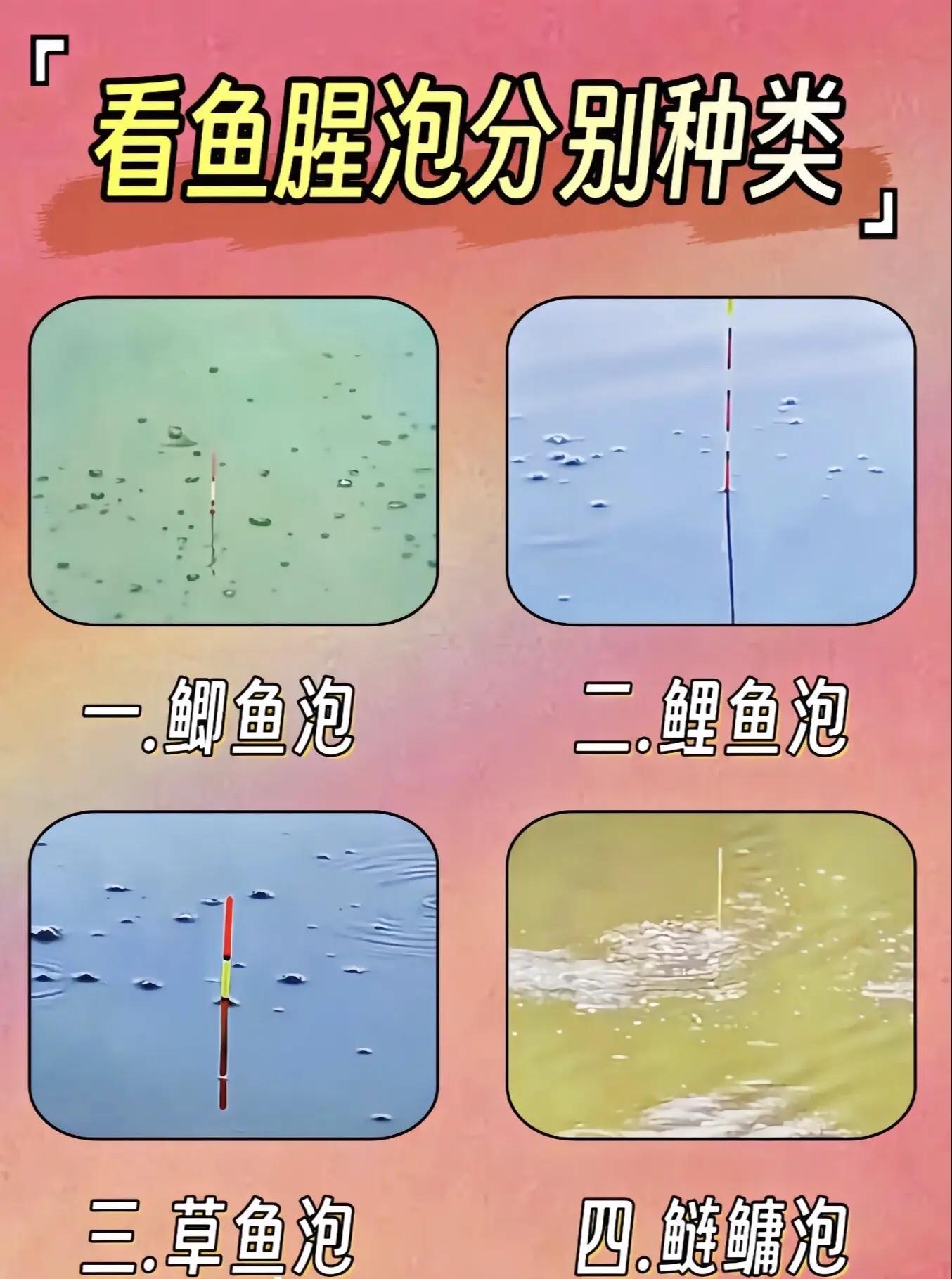 用泡沫逗钓鲫鱼技巧(用泡沫能不能钓鲫鱼) 用泡沫逗钓鲫鱼技巧(用泡沫能不能钓鲫鱼)