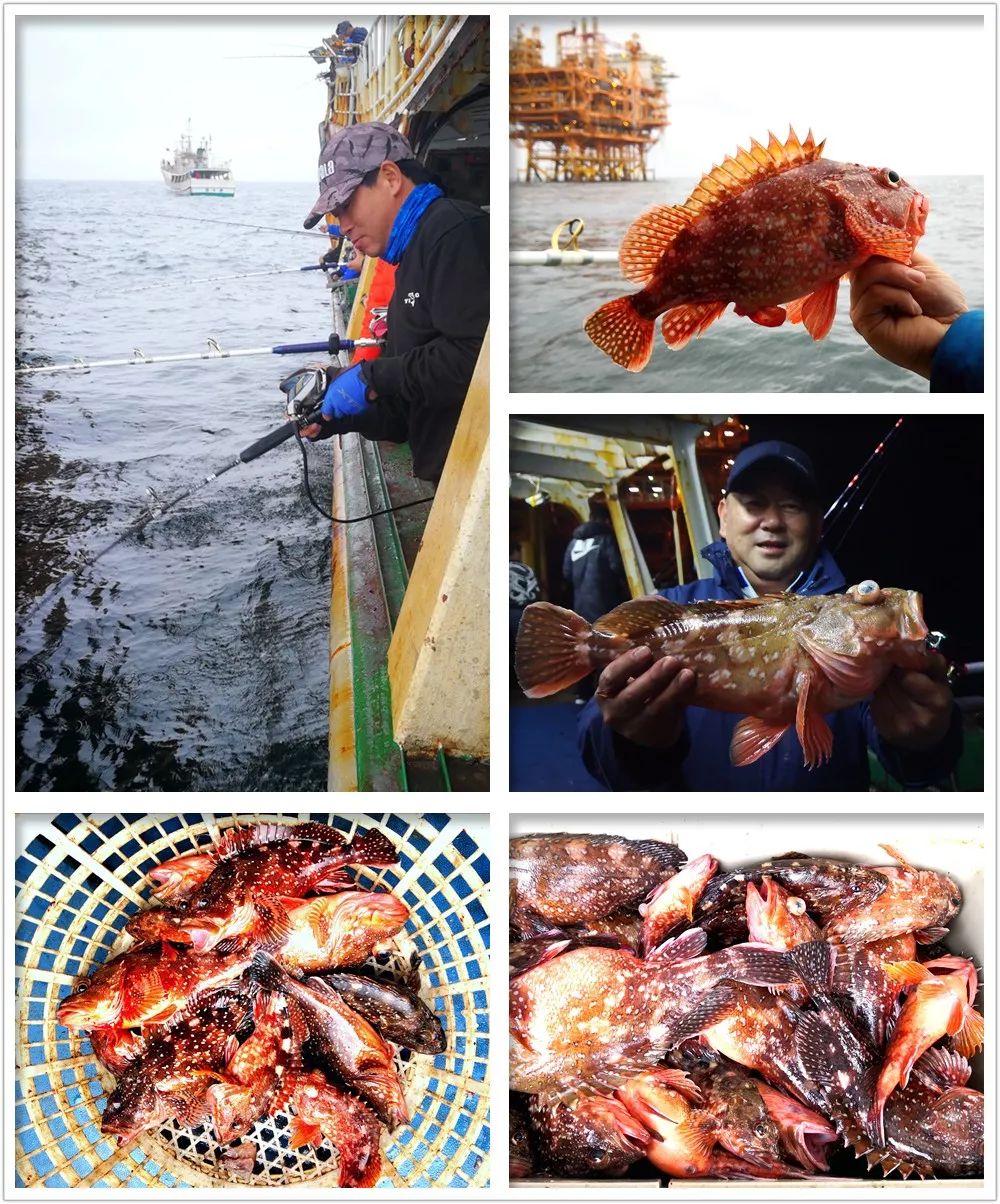 东海春晓油田海钓船(海钓船租赁价格) 东海春晓油田海钓船(海钓船租赁价格)