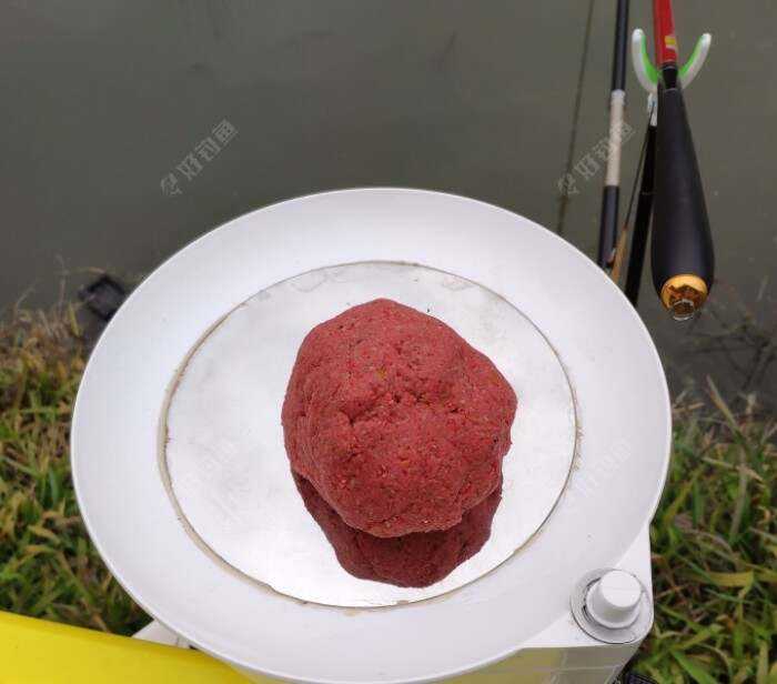 扣坑阴天饵料(阴天钓鱼用什么饵料最好) 扣坑阴天饵料(阴天钓鱼用什么饵料最好)