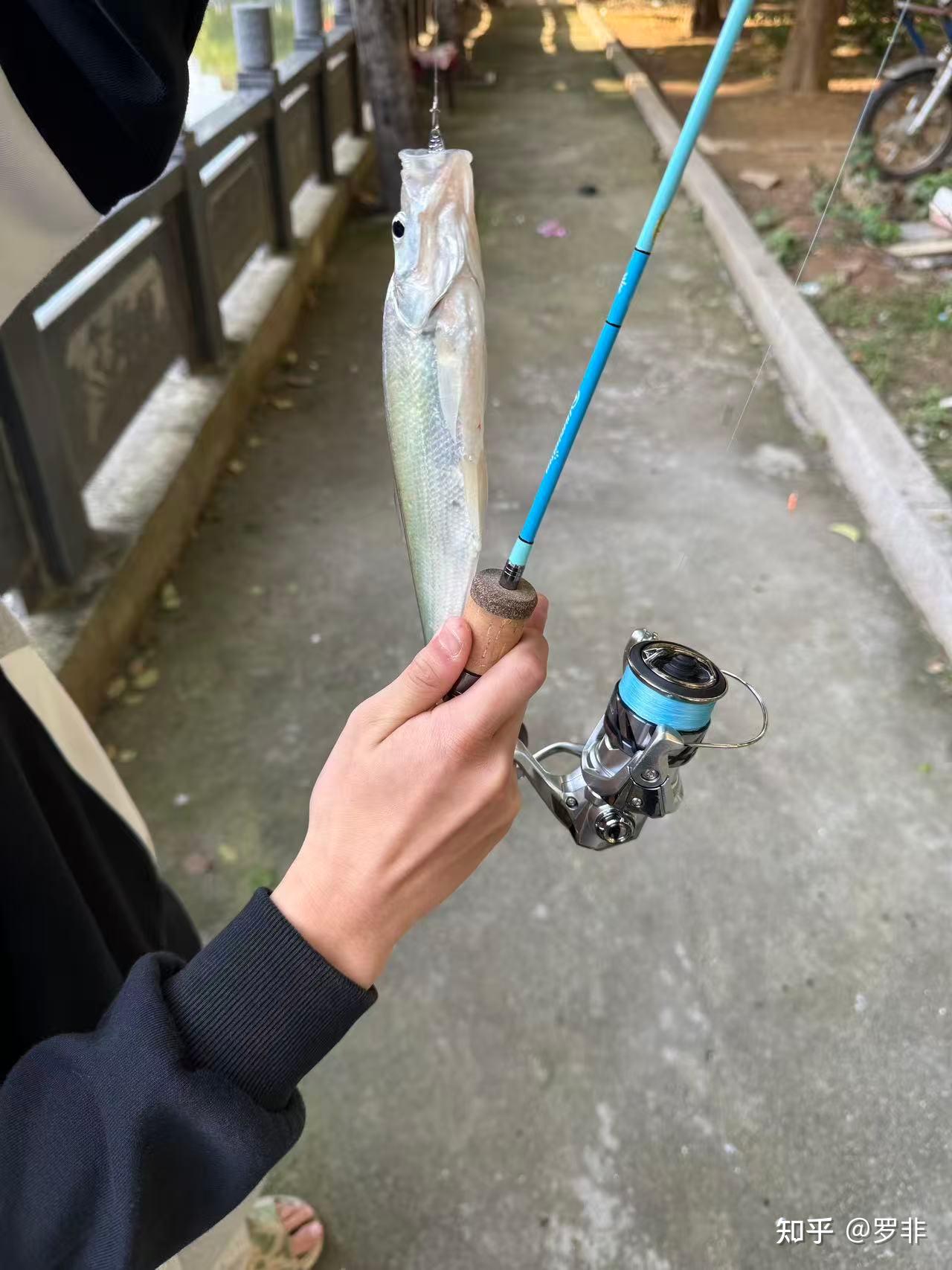 pe路亚推荐(pe路亚线哪个牌子好) pe路亚推荐(pe路亚线哪个牌子好)