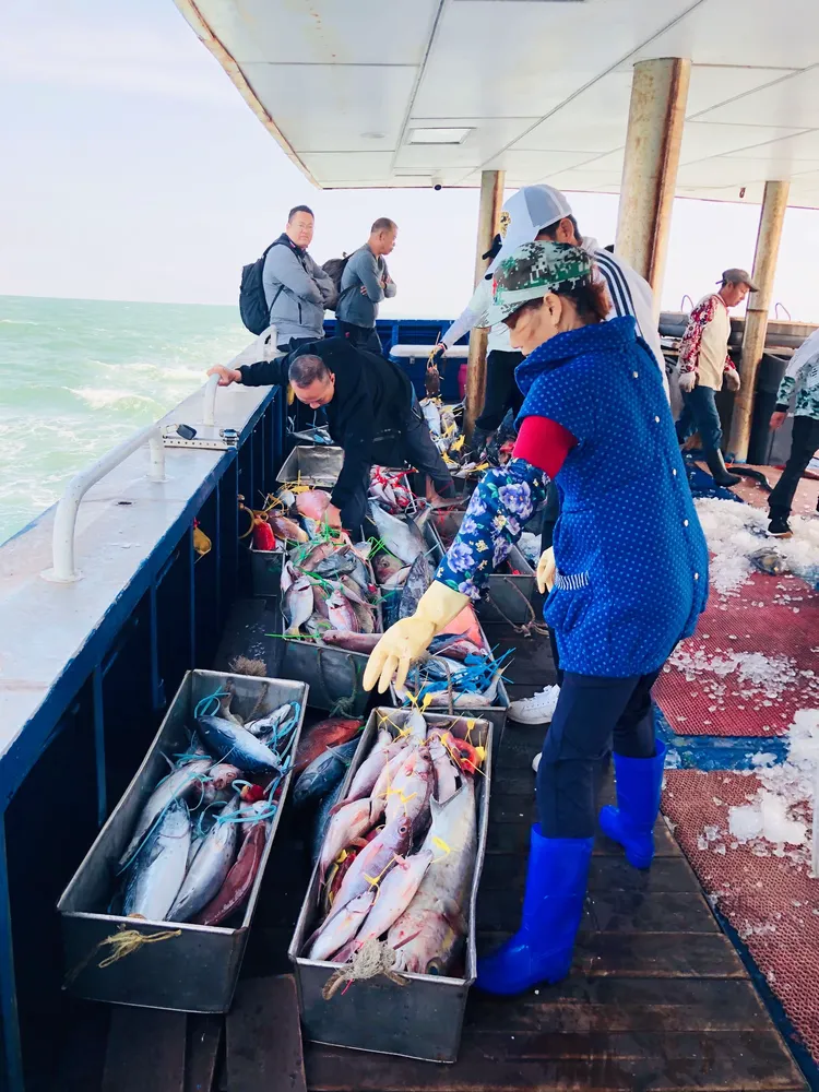 南油海钓如何报名(南油海钓回来鱼获怎么卖掉) 南油海钓如何报名(南油海钓回来鱼获怎么卖掉)