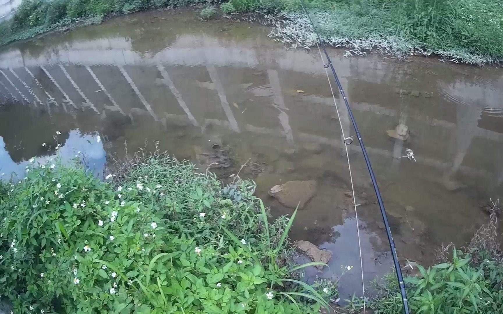 深圳路亚场(深圳路亚群) 深圳路亚场(深圳路亚群)