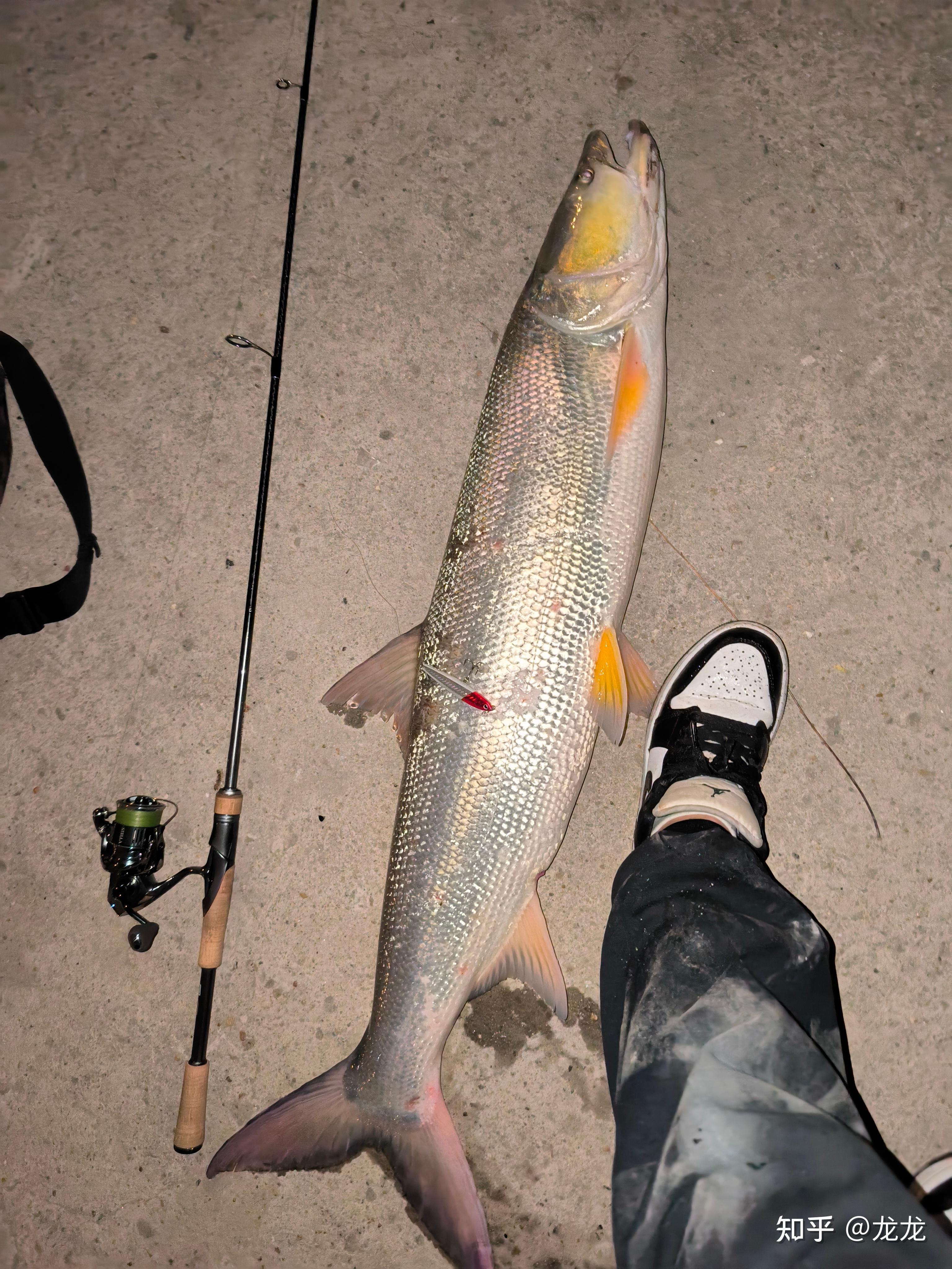 山东钓路亚(山东路亚钓场) 山东钓路亚(山东路亚钓场)