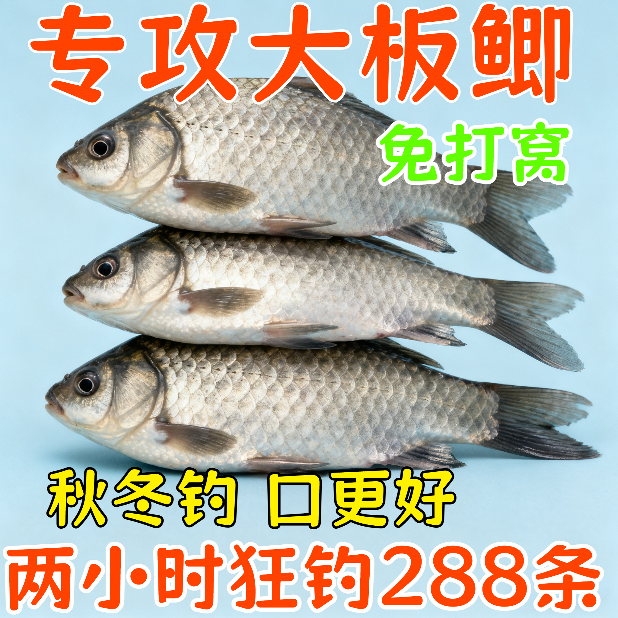 野钓鲤鱼鱼饵料配方(野钓鲤鱼鱼饵料配方表) 野钓鲤鱼鱼饵料配方(野钓鲤鱼鱼饵料配方表)