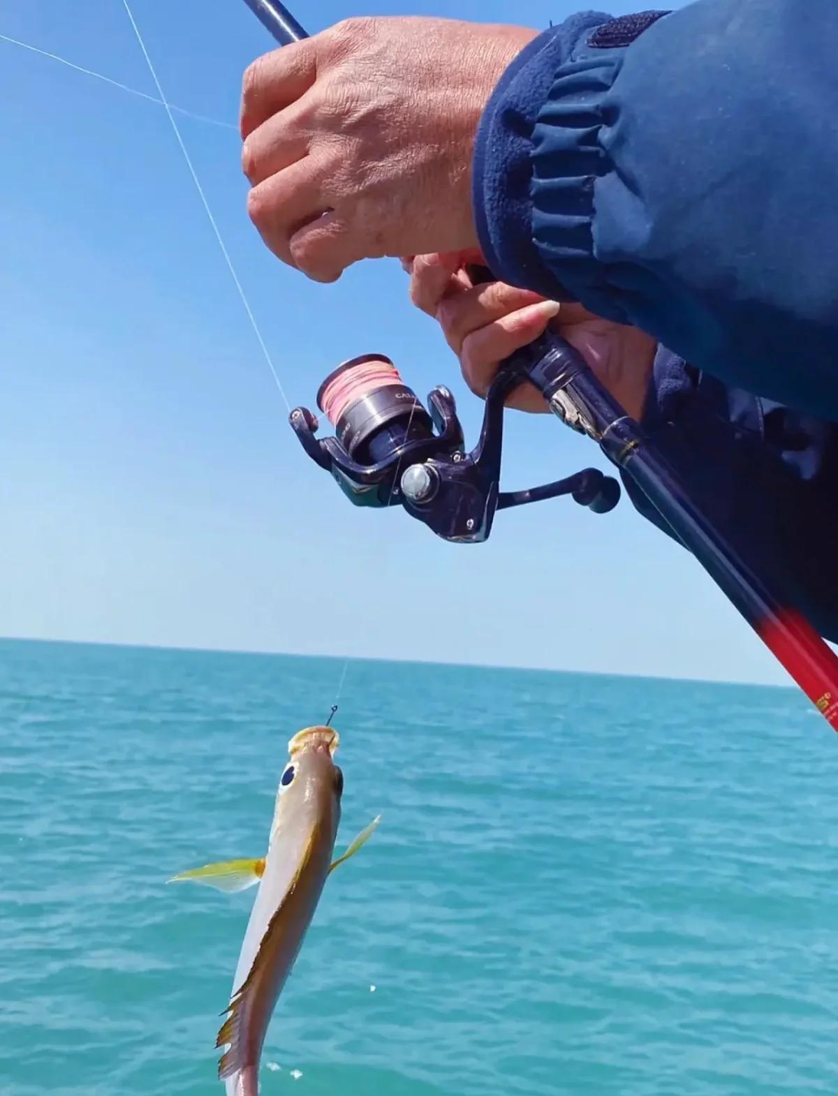 威海南海海钓(威海海钓基地怎么收费的) 威海南海海钓(威海海钓基地怎么收费的)