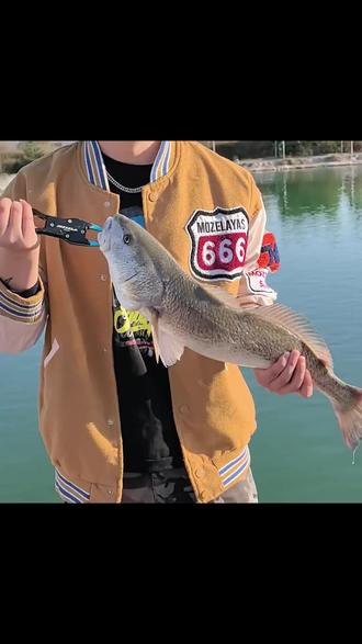 厦门哪里适合路亚(厦门哪里适合路亚钓鱼) 厦门哪里适合路亚(厦门哪里适合路亚钓鱼)