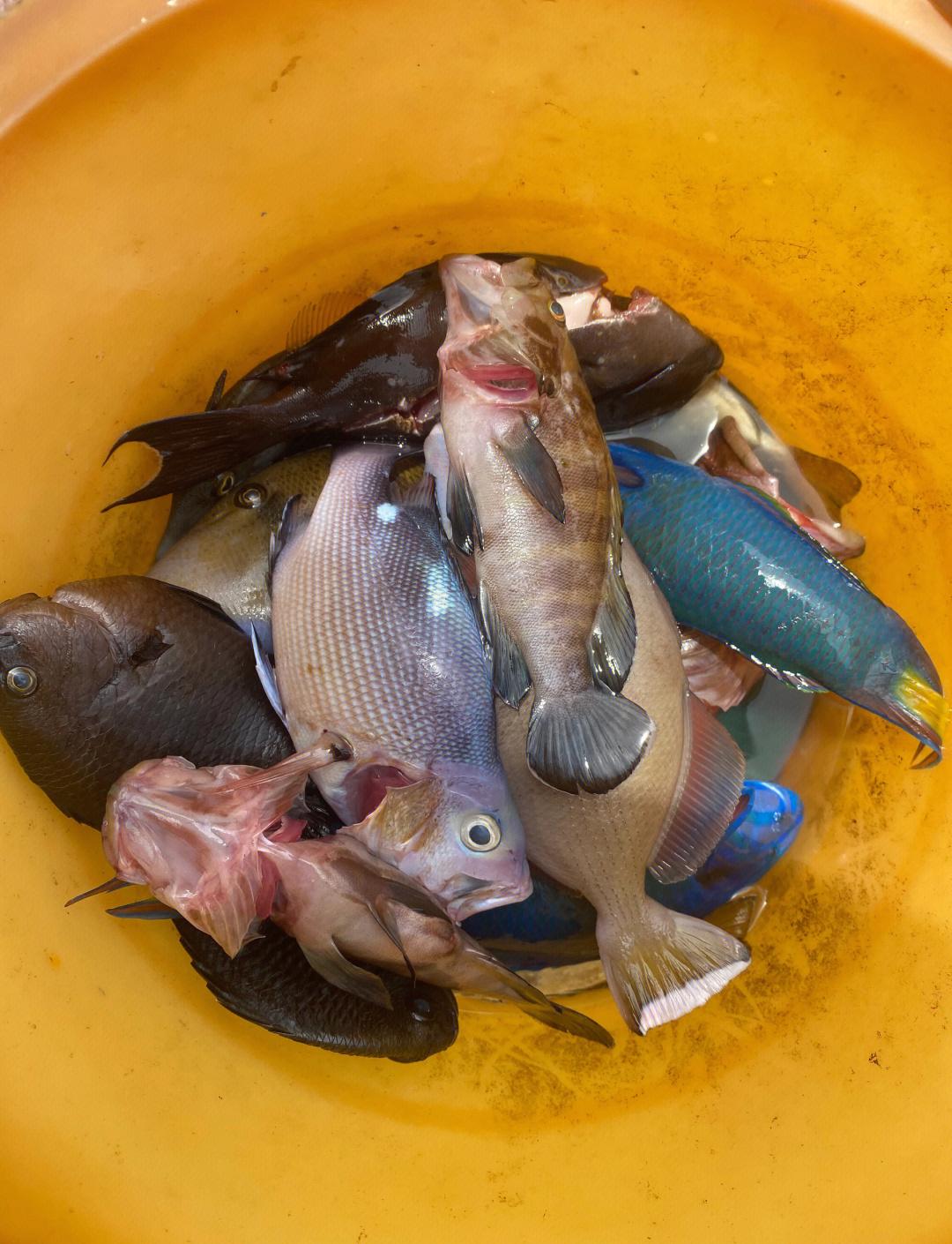 海钓防挂石(海钓防挂钩及应对方法) 海钓防挂石(海钓防挂钩及应对方法)