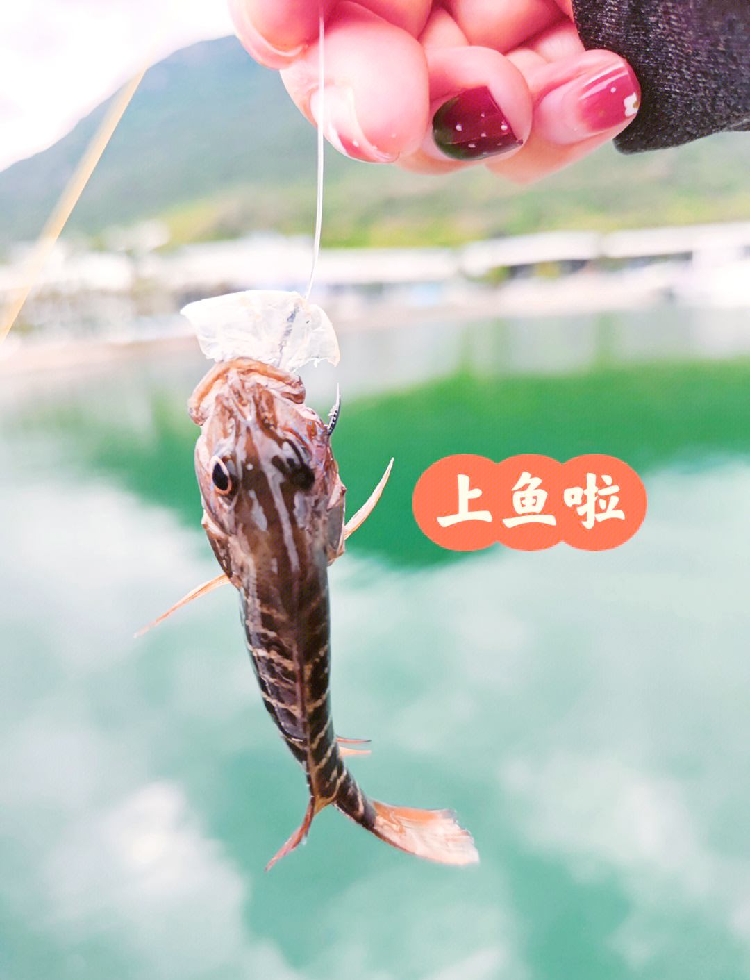 浅谈深圳海钓(深圳海钓有什么鱼) 浅谈深圳海钓(深圳海钓有什么鱼)