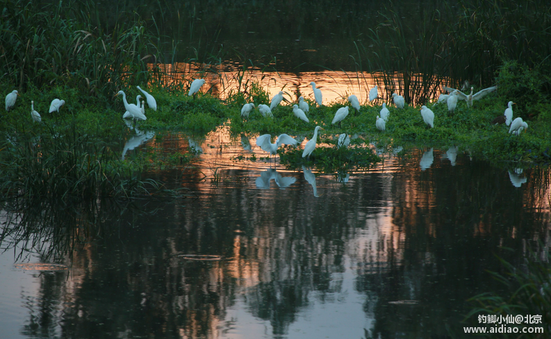 日照近海钓点(日照海边钓鱼) 日照近海钓点(日照海边钓鱼)