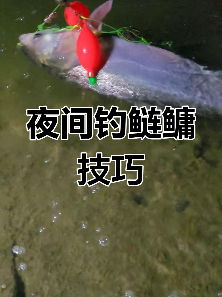 小河夜钓技巧(小河夜钓技巧和方法) 小河夜钓技巧(小河夜钓技巧和方法)