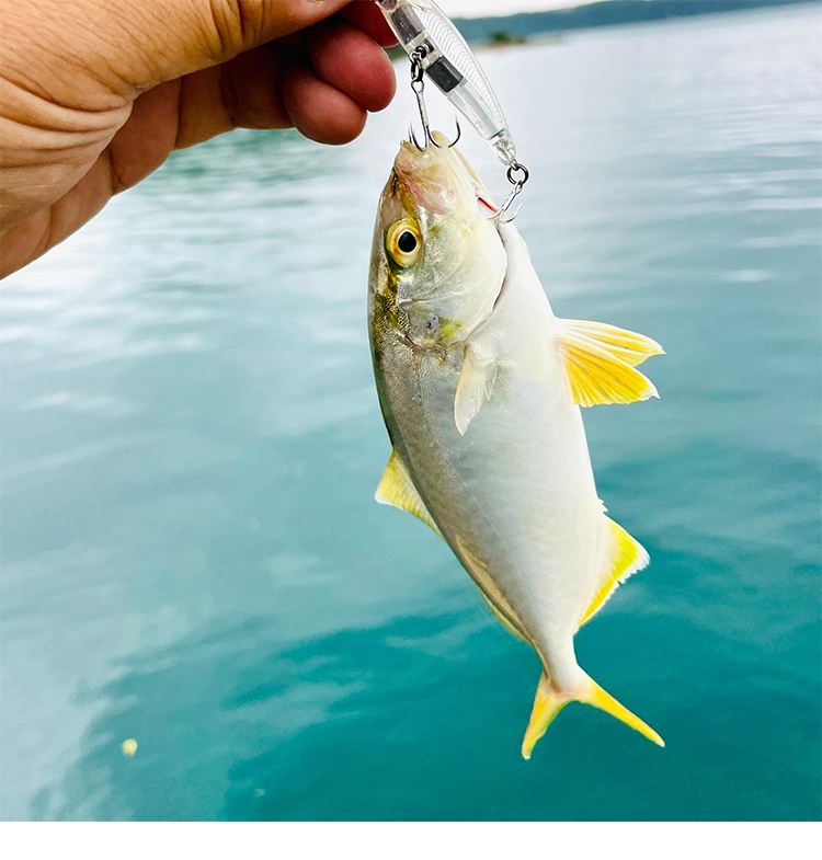 日本deps路亚饵(日本路亚饵品牌有哪些) 日本deps路亚饵(日本路亚饵品牌有哪些)