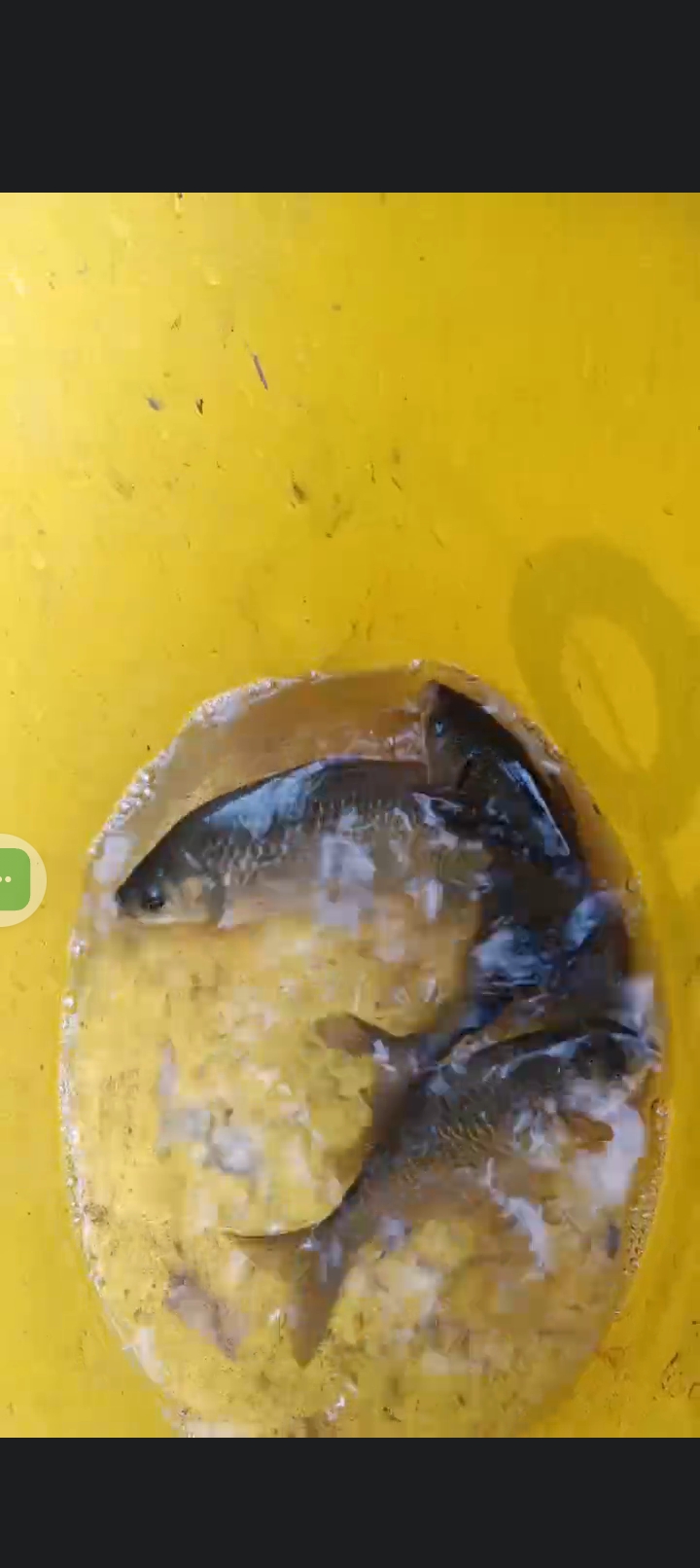 冬天粘米钓鱼技巧(远行星号棱镜自由港信用点) 冬天粘米钓鱼技巧(远行星号棱镜自由港信用点)