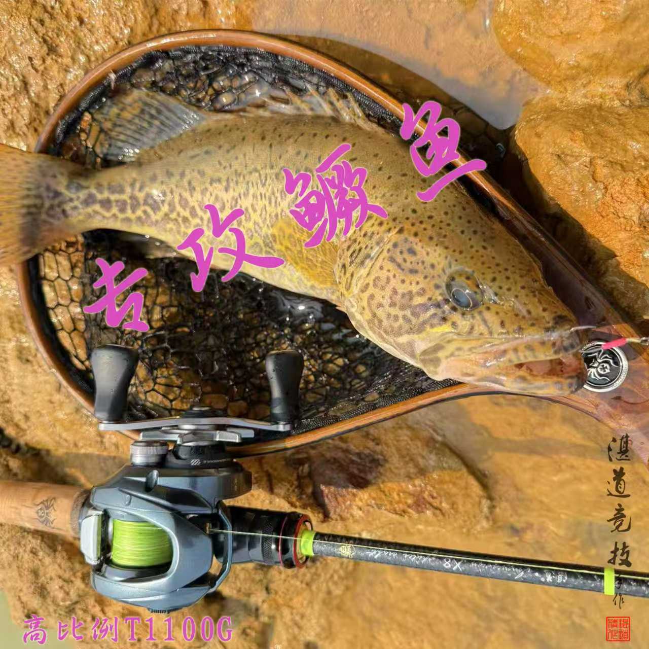 专业路亚竿(专业路亚品牌) 专业路亚竿(专业路亚品牌)