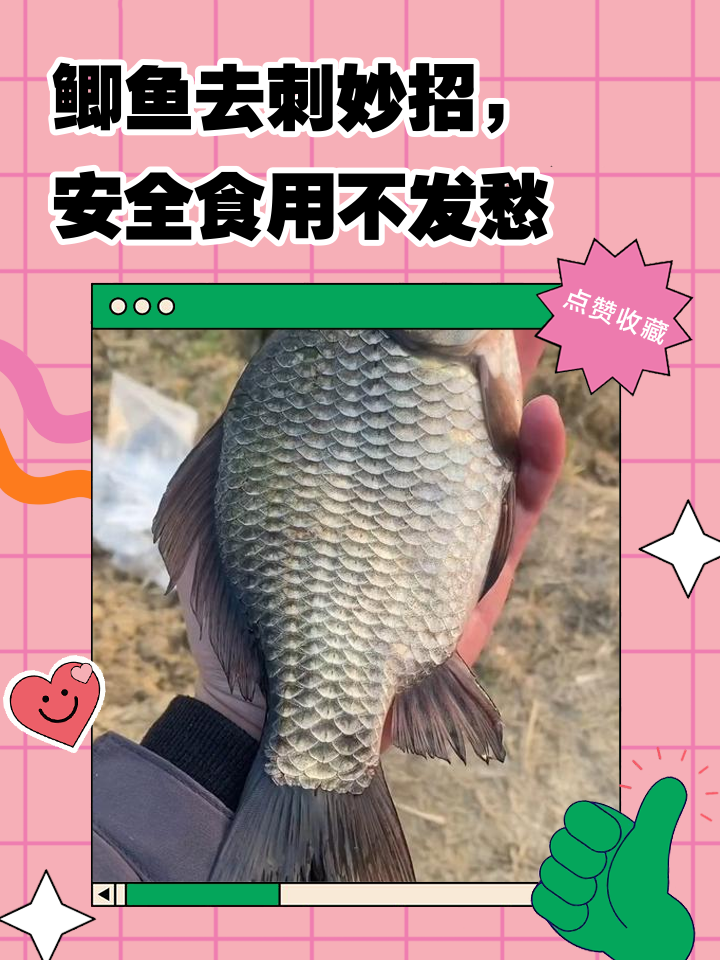 深水黑坑鲫鱼技巧(黑坑鲫鱼在深水还是浅水) 深水黑坑鲫鱼技巧(黑坑鲫鱼在深水还是浅水)