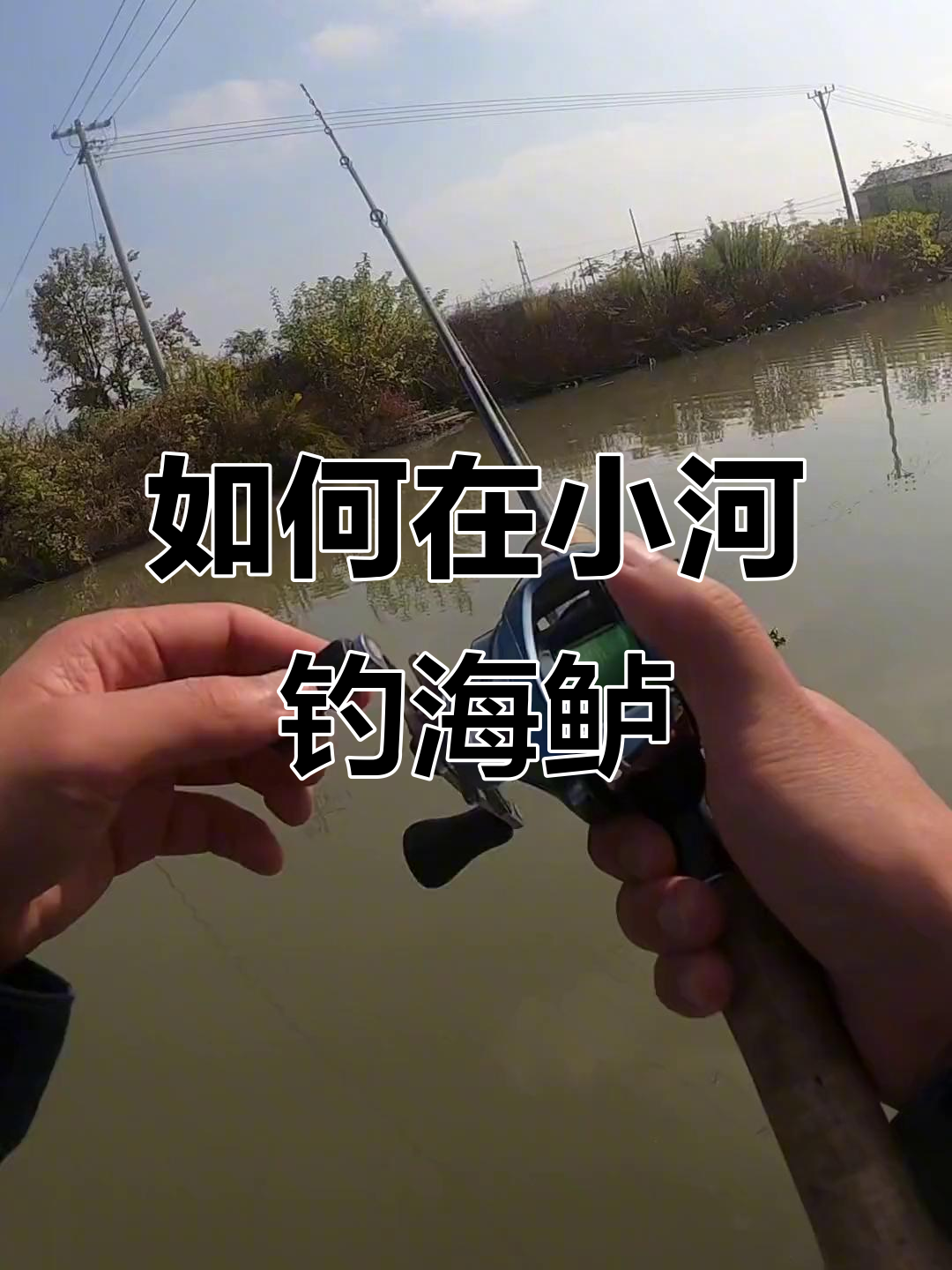 路亚海鲈地点(海路亚鲈鱼技巧) 路亚海鲈地点(海路亚鲈鱼技巧)