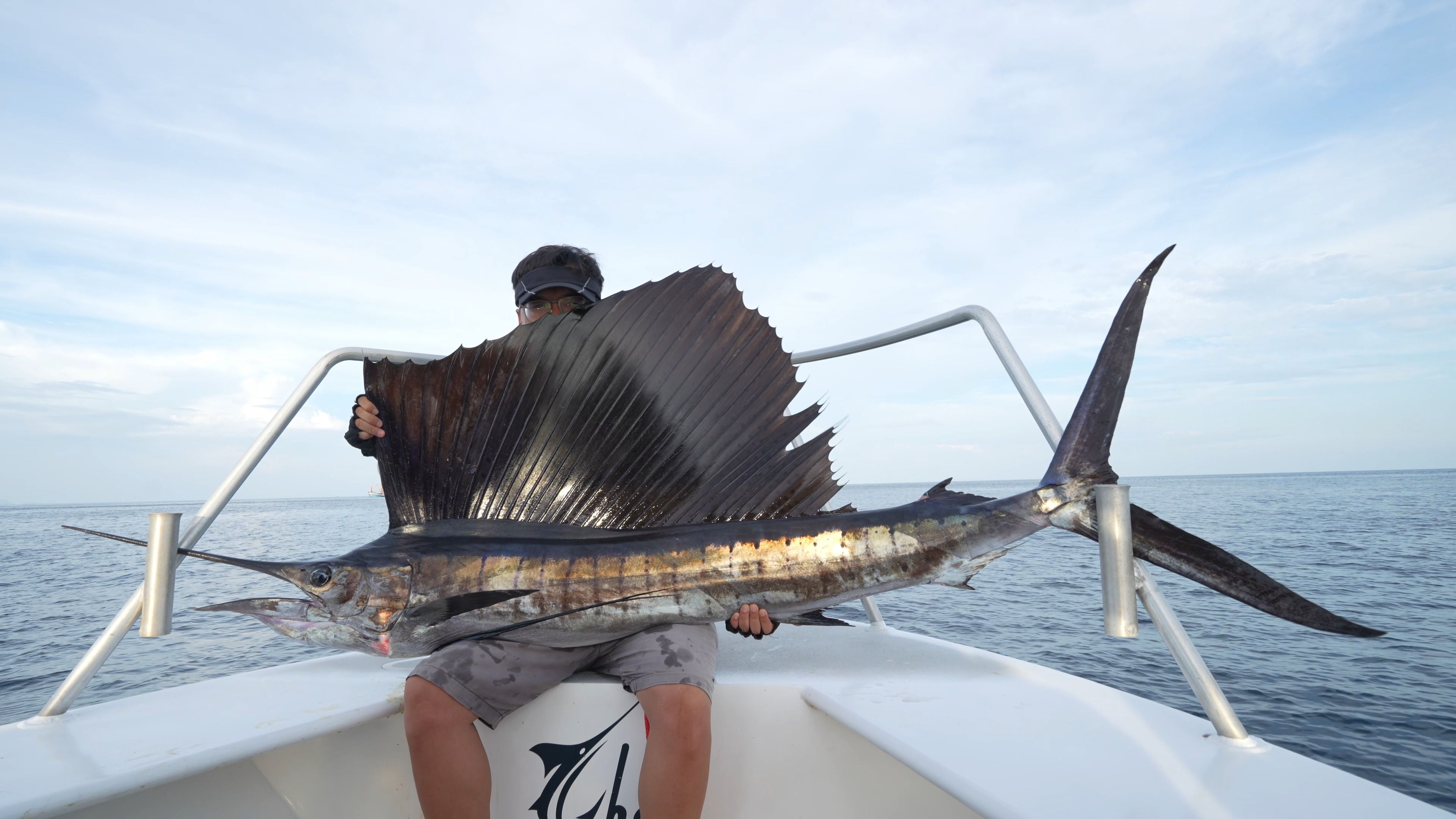 国外海钓钓组(国外著名海钓节目) 国外海钓钓组(国外著名海钓节目)