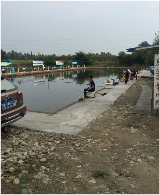 黑坑钓裸斑技巧视频(黑坑钓裸斑技巧视频教程) 黑坑钓裸斑技巧视频(黑坑钓裸斑技巧视频教程)