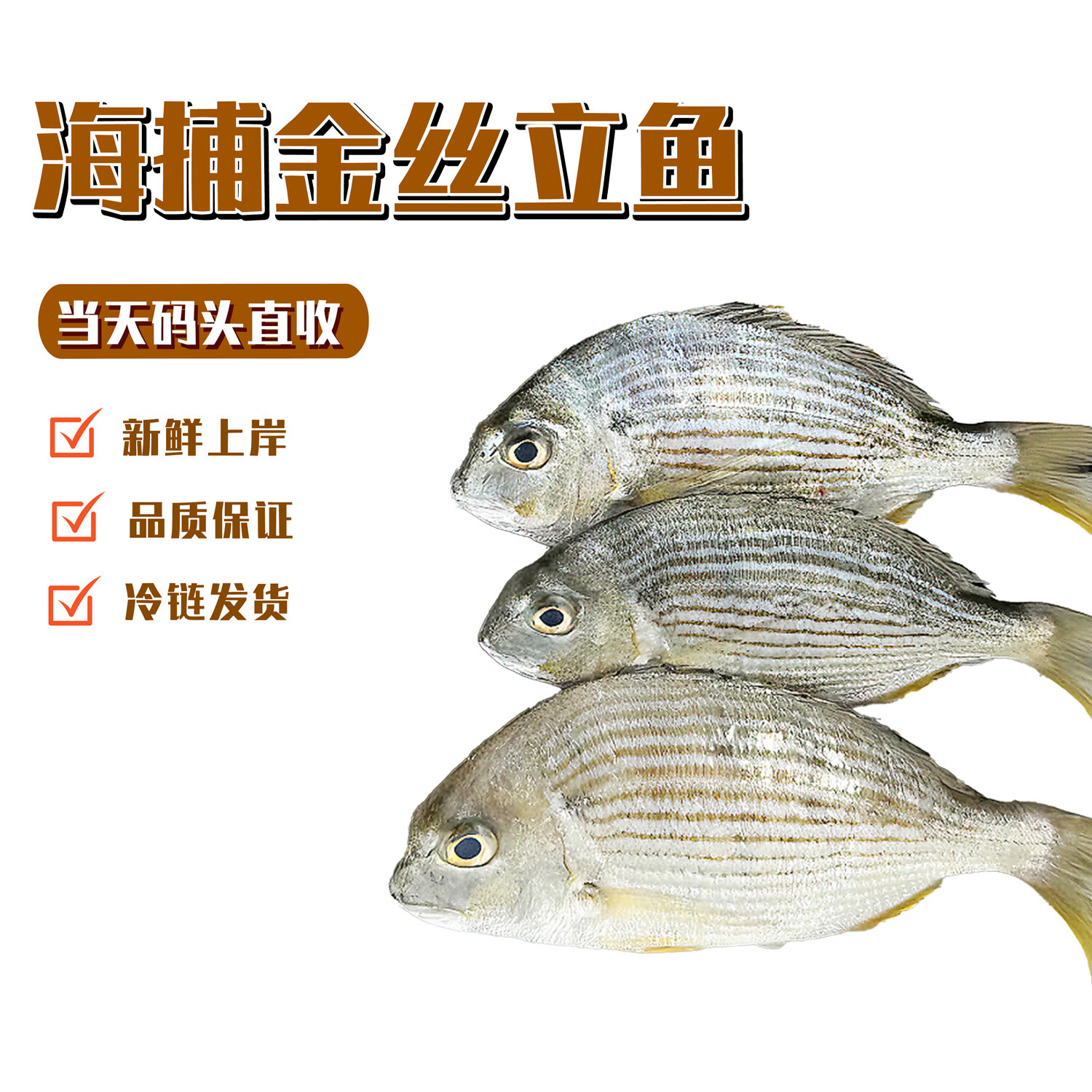 福州海钓鲜(福州海钓最好的地方在哪里) 福州海钓鲜(福州海钓最好的地方在哪里)