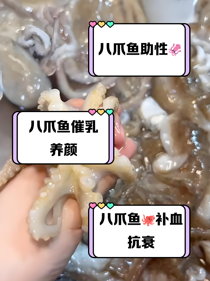 捕获鱼的办法和技巧(捕捞方法) 捕获鱼的办法和技巧(捕捞方法)