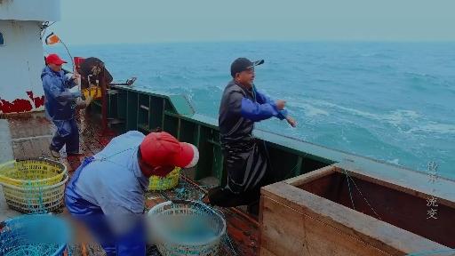 厦门哪里能海钓鳗鱼(厦门哪里适合海钓) 厦门哪里能海钓鳗鱼(厦门哪里适合海钓)