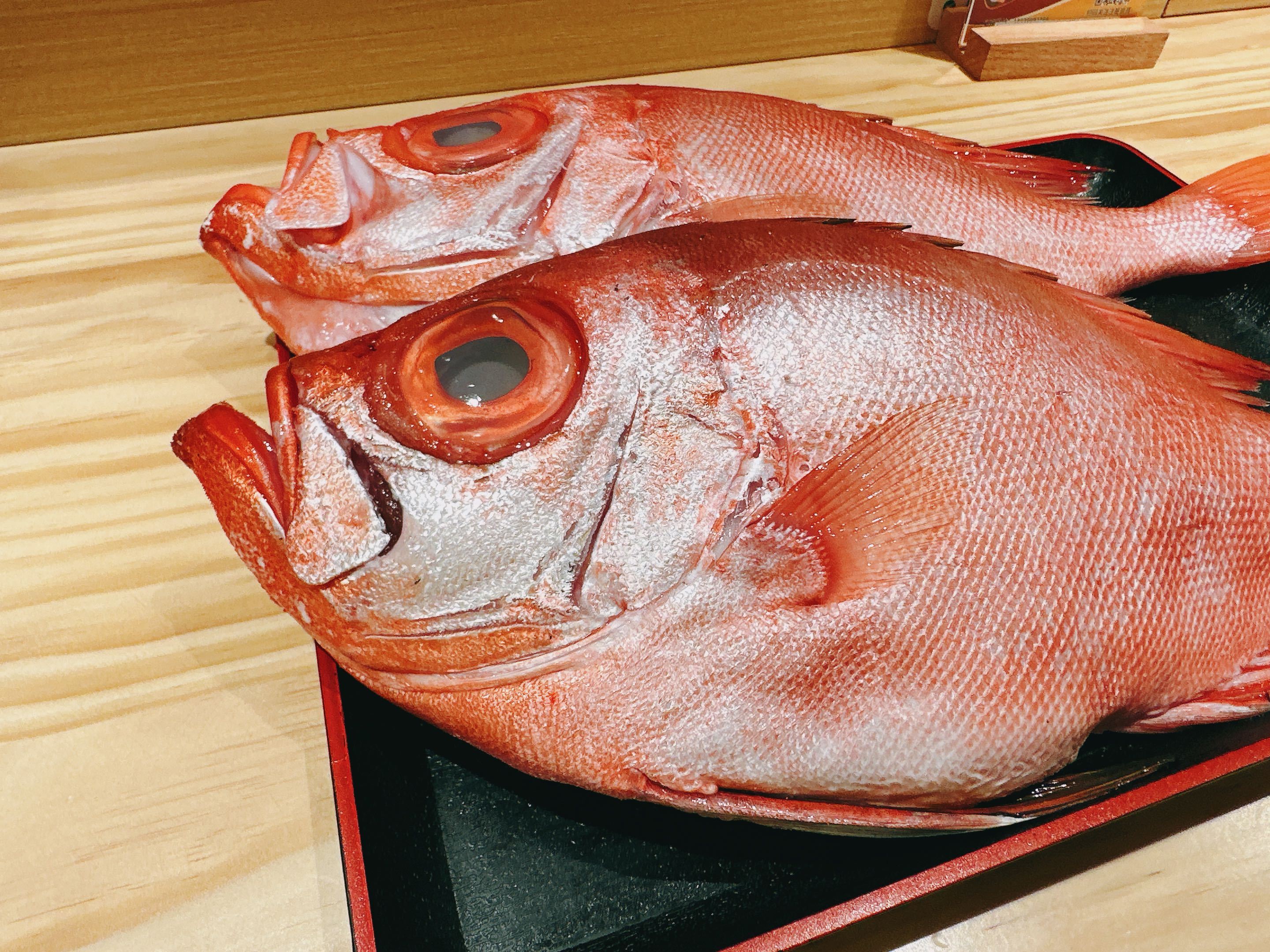 海钓鱼哪些不能入港(海钓大流水怎么钓鱼) 海钓鱼哪些不能入港(海钓大流水怎么钓鱼)