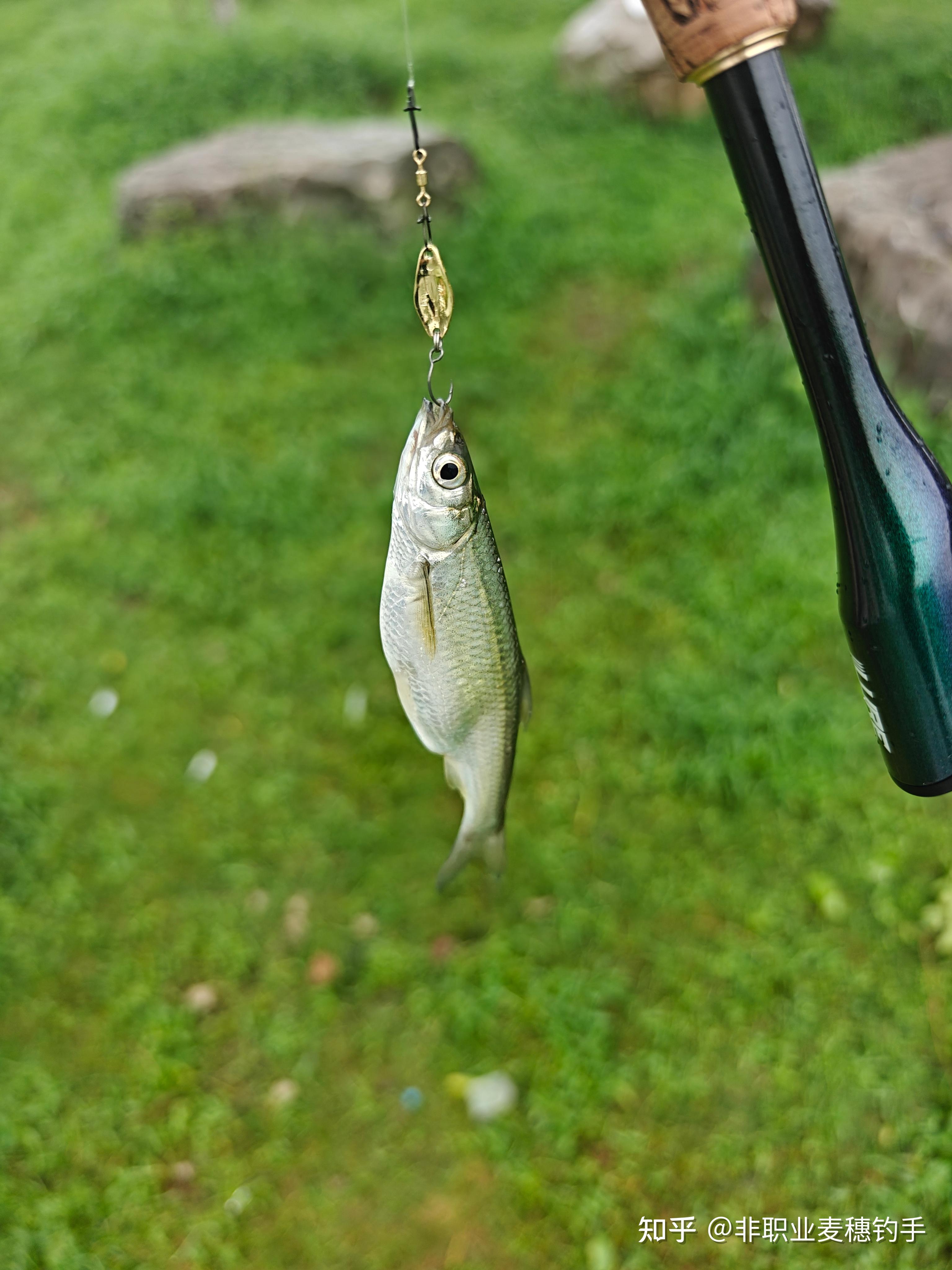 大风能路亚吗(大风适不适合路亚) 大风能路亚吗(大风适不适合路亚)