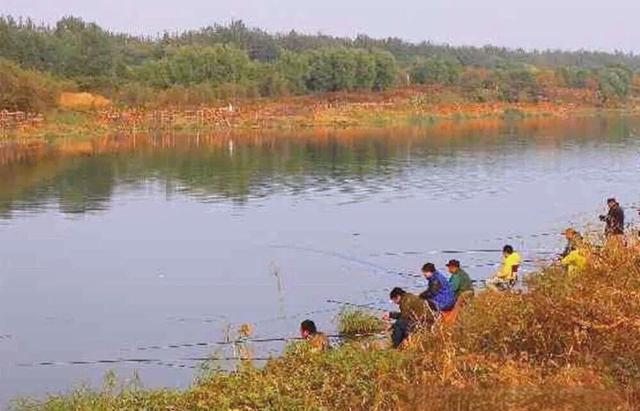 秋分前后钓鱼技巧(秋分前后怎么钓鱼)