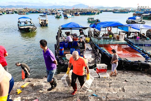 广东湛江渔具(湛江鱼市场在哪里)