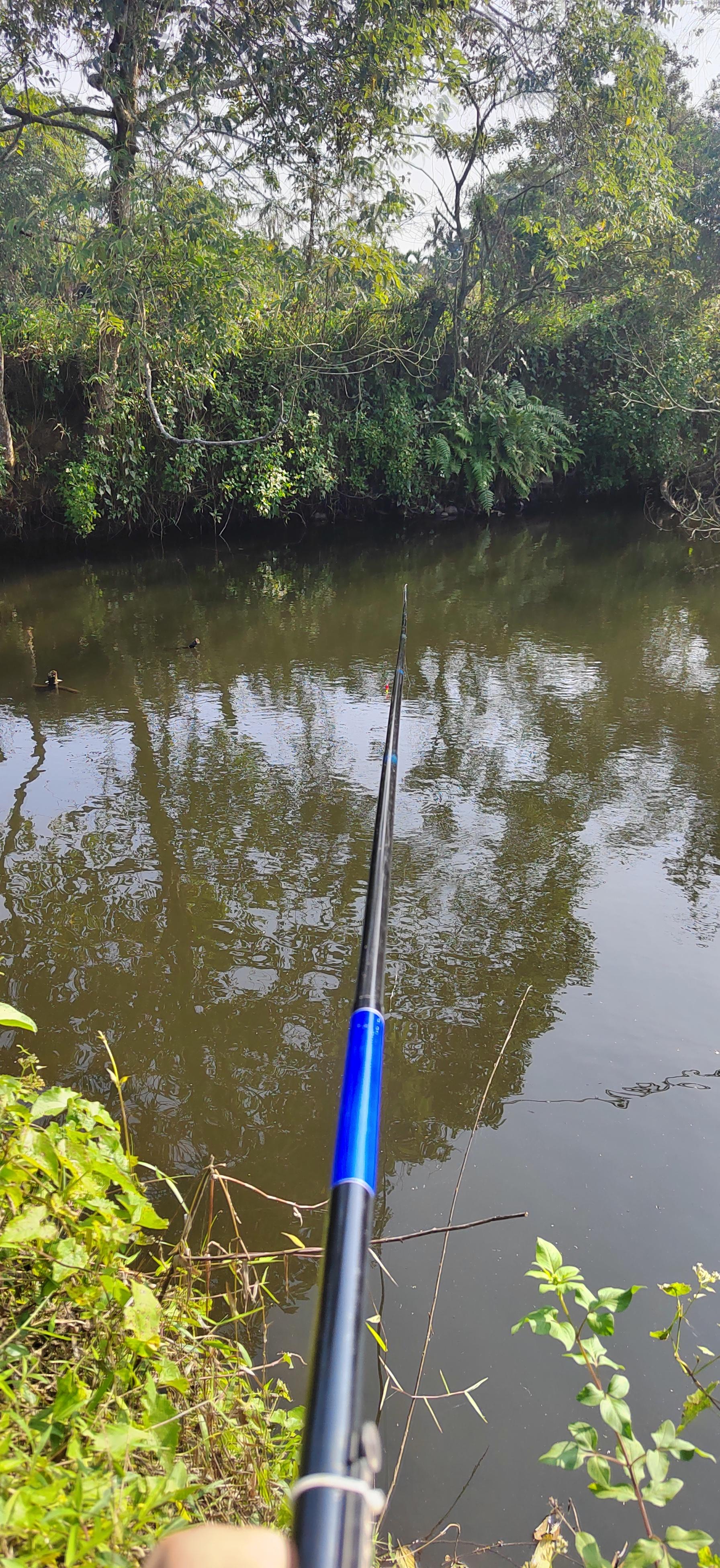 乐清瓯江路亚(300左右的路亚竿推荐) 乐清瓯江路亚(300左右的路亚竿推荐)