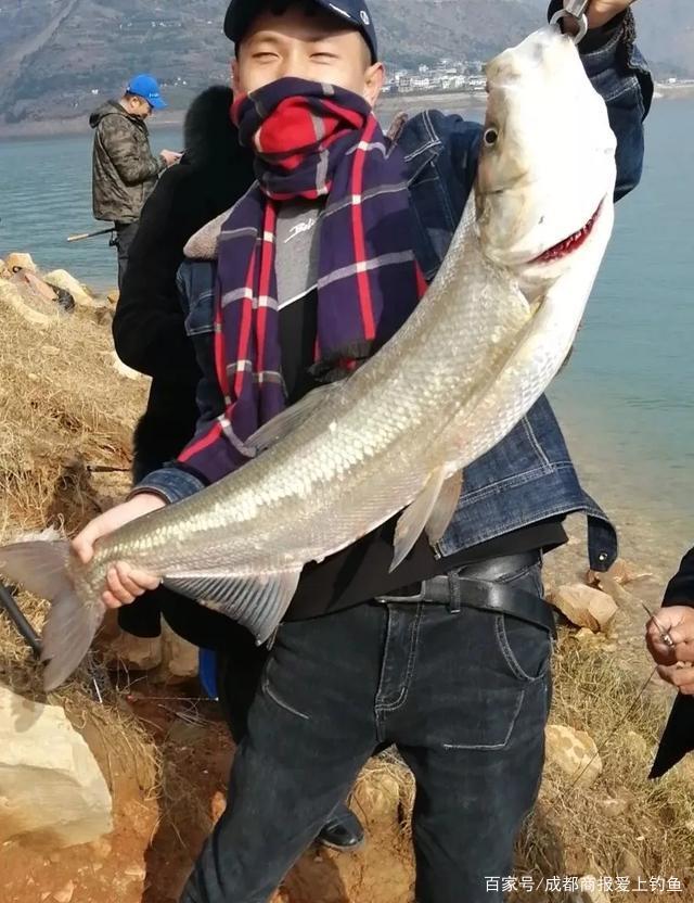 路亚合服(路亚钓鱼为什么被禁止) 路亚合服(路亚钓鱼为什么被禁止)