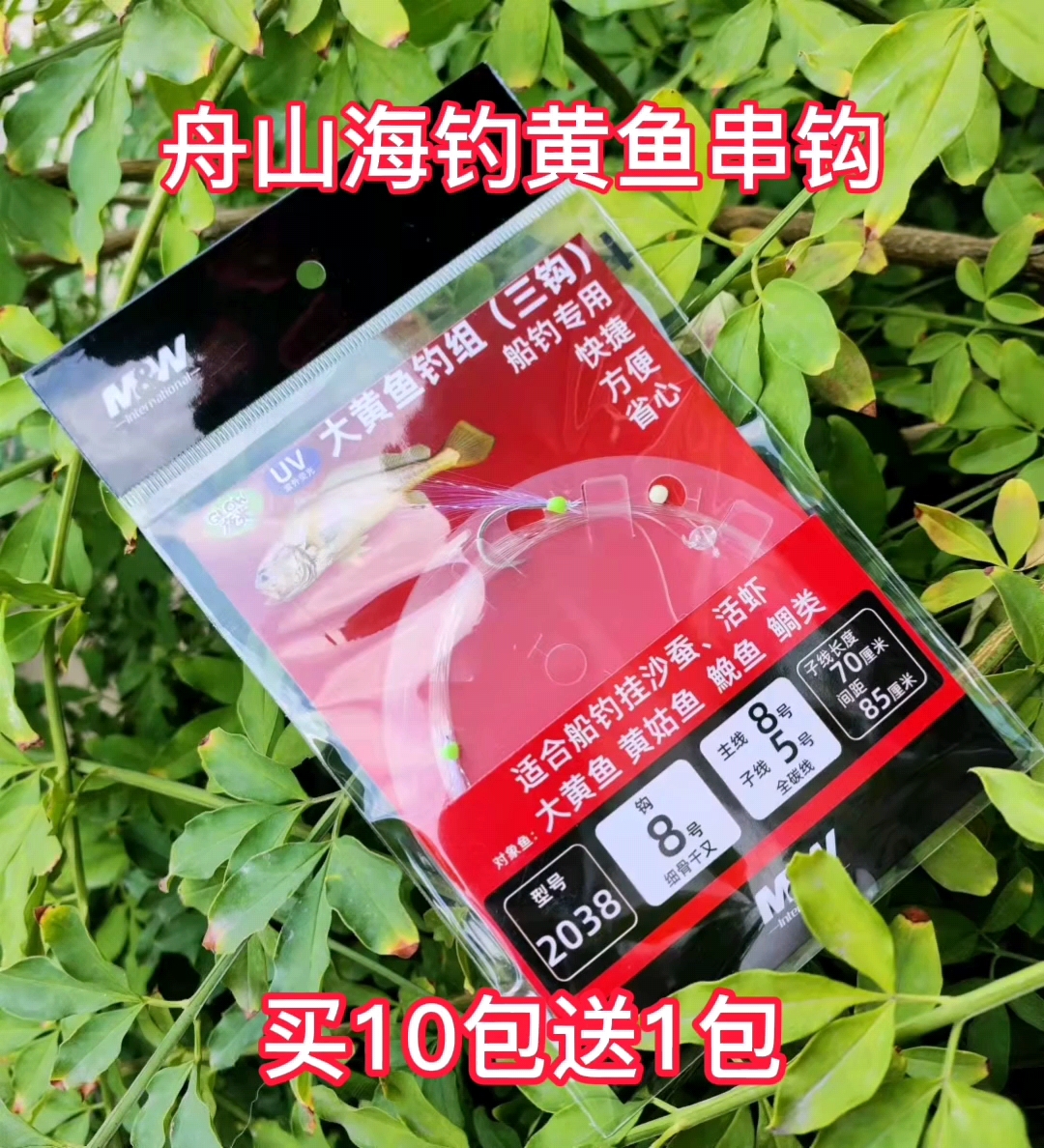 舟山海钓证书那里考(海上钓鱼证) 舟山海钓证书那里考(海上钓鱼证)