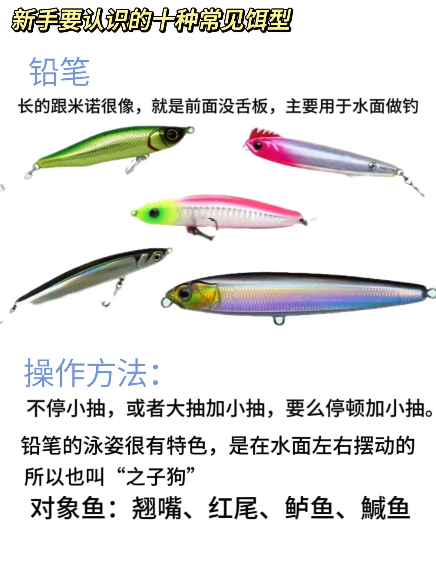 饵料认识(饵料的种类) 饵料认识(饵料的种类)