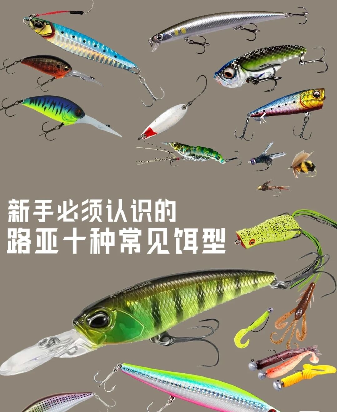 饵料认识(饵料的种类) 饵料认识(饵料的种类)