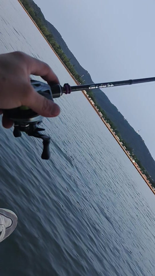 路亚团抵达(2021年路亚视频) 路亚团抵达(2021年路亚视频)