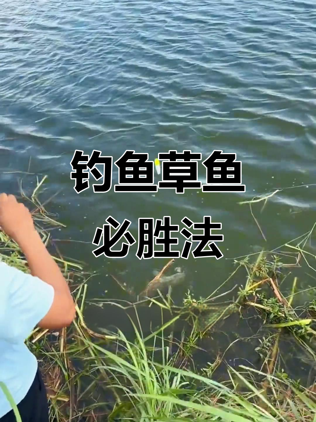 钓草鱼调漂到底技巧(垂钓草鱼如何调漂) 钓草鱼调漂到底技巧(垂钓草鱼如何调漂)