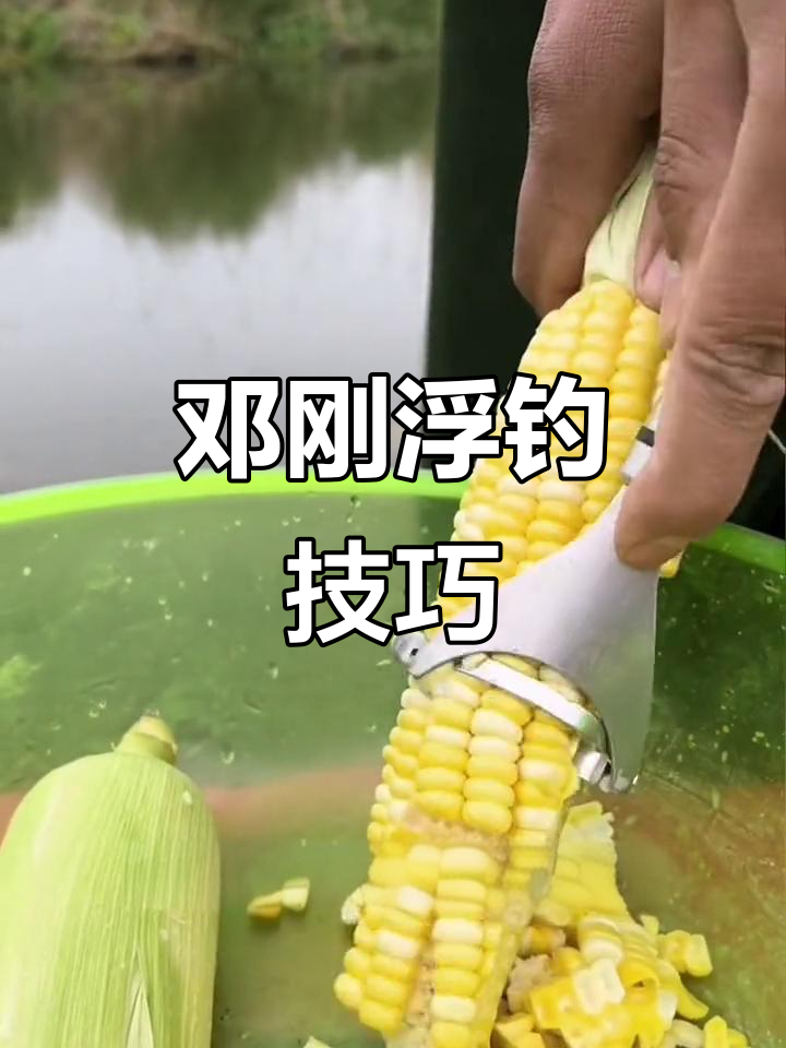 春季用玉米钓草鱼技巧(春季用玉米钓草鱼技巧和方法) 春季用玉米钓草鱼技巧(春季用玉米钓草鱼技巧和方法)