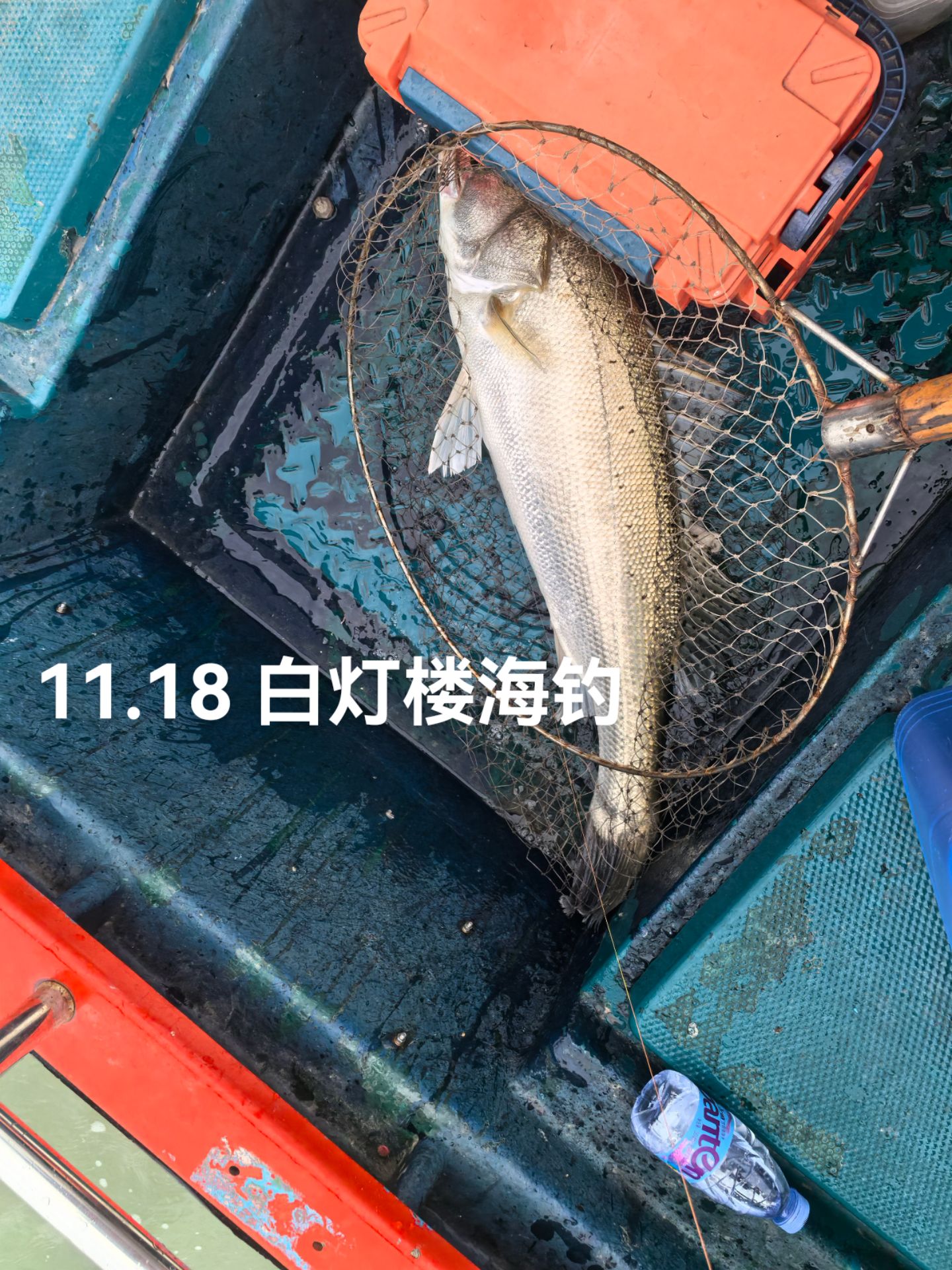 南沙海钓俱乐部(南沙海钓俱乐部在哪里) 南沙海钓俱乐部(南沙海钓俱乐部在哪里)