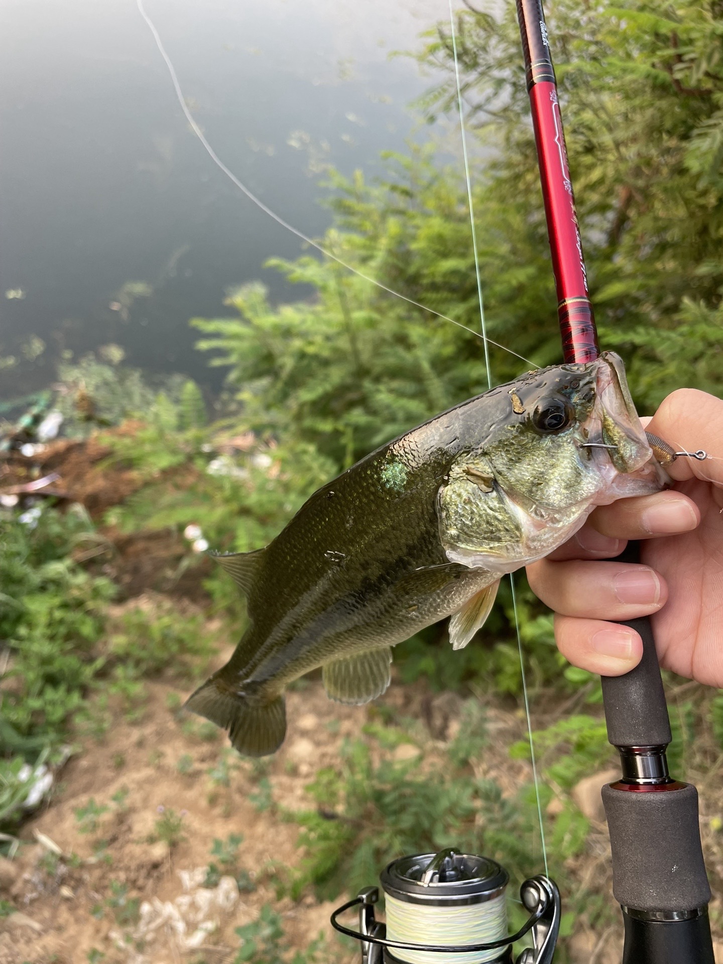 苏州太湖路亚(苏州太湖路亚标点) 苏州太湖路亚(苏州太湖路亚标点)